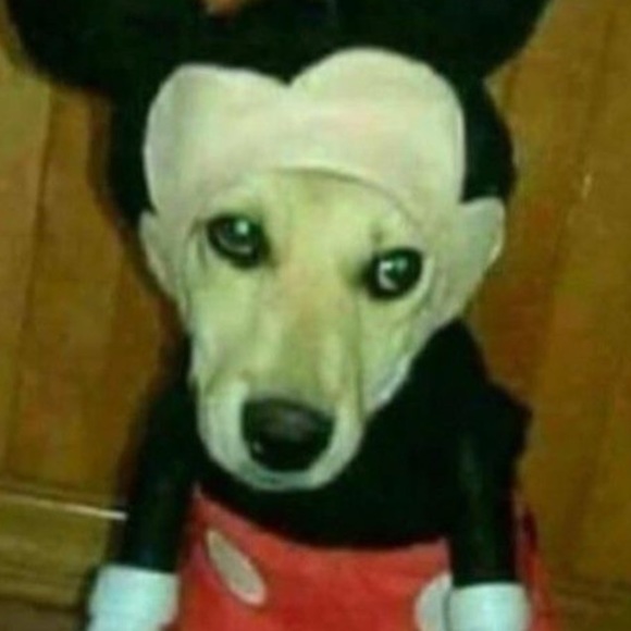 fernandozepedq